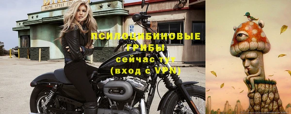 метадон Заволжье